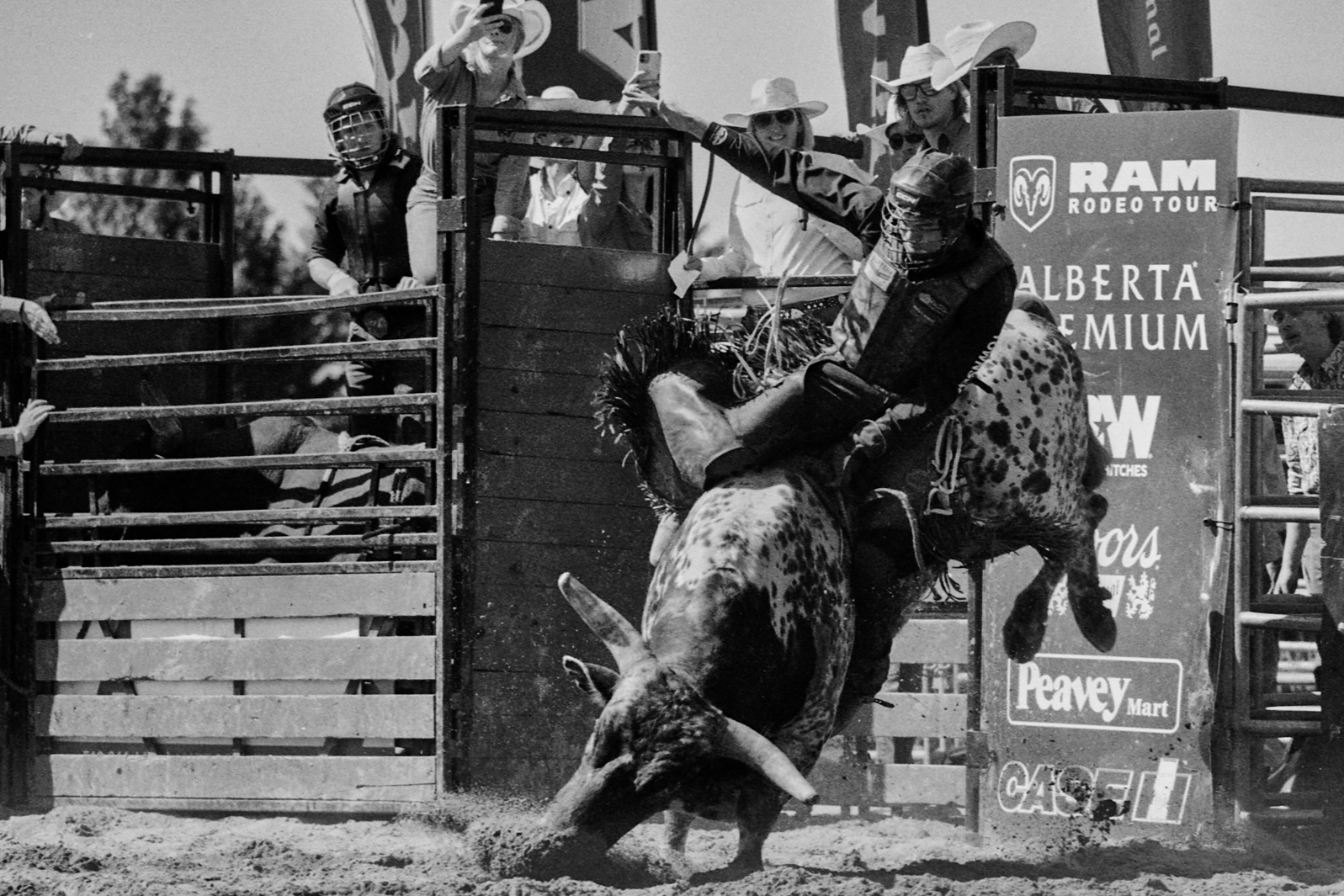 Bull Rider at the Ram Rodeo Tour
