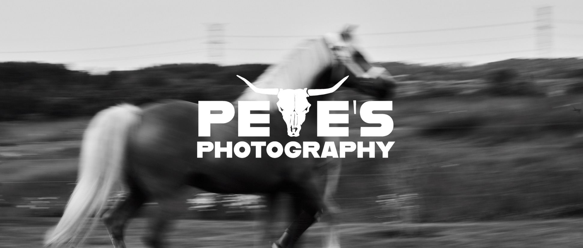 Pete's Photography - Equine Photographer - Ontario Canada