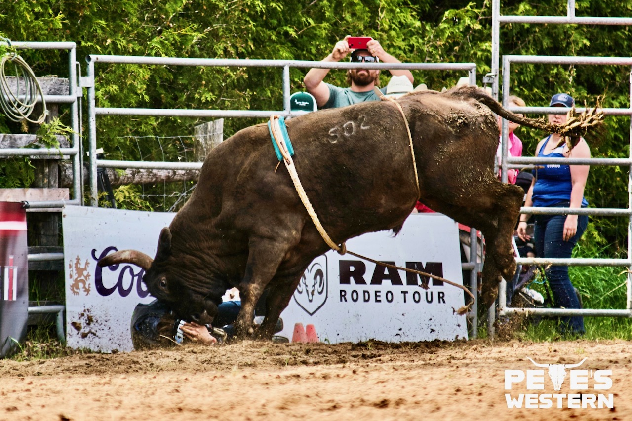 Bull rider at the Ram Rodeo Tour.